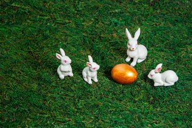 Similar image 21026847