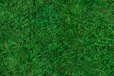 Similar image 21026848