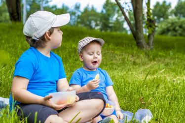 Similar image 21029003