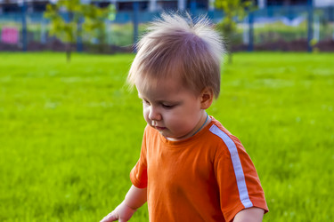 Similar image 21029039