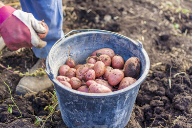 Similar image 21029048