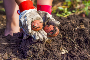 Similar image 21029051