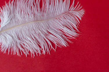 Similar image 21029057