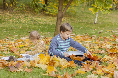 Similar image 21027403