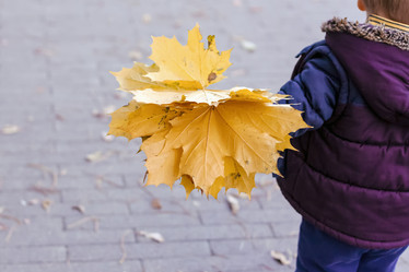 Similar image 21027405