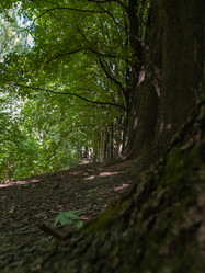 Similar image 21042813