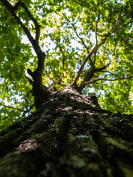 Similar image 21042814