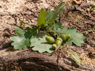 Similar image 21042815