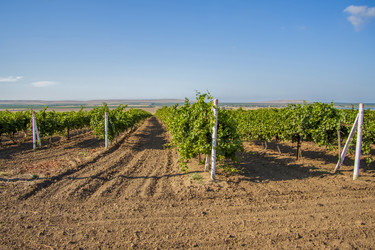 Similar image 21027425