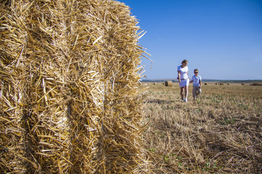 Similar image 21027426