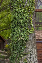 Similar image 21027432