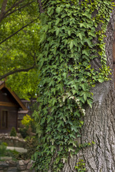 Similar image 21027436