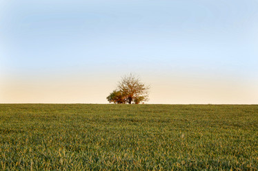 Similar image 21027443