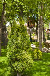 Similar image 21027026