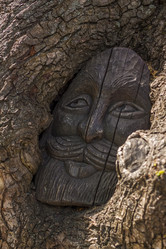 Similar image 21021826