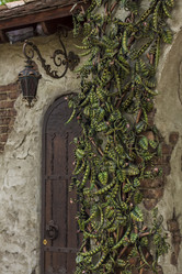 Similar image 21021834