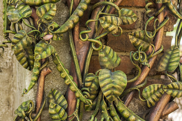 Similar image 21027032