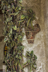 Similar image 21027038