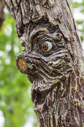 Similar image 21027042