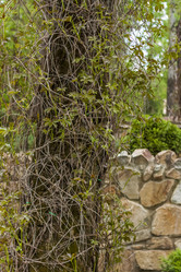 Similar image 21027046