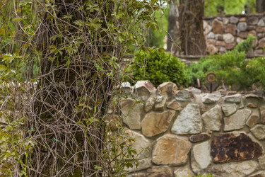 Similar image 21027048