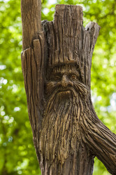 Similar image 21027050