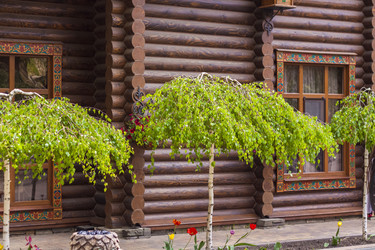 Similar image 21027061