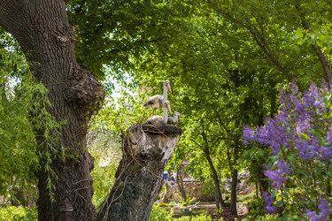 Similar image 21027064