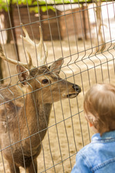 Similar image 21027092