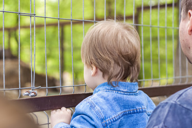 Similar image 21027095