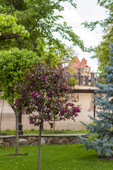 Similar image 21027096