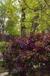 Similar image 21027112