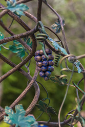 Similar image 21027113