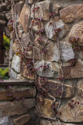 Similar image 21027116