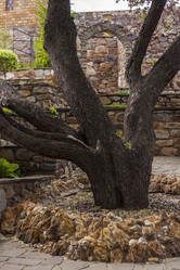 Similar image 21027119