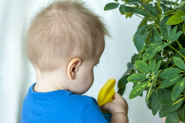 Similar image 21027191