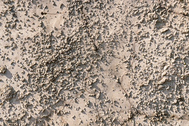 Similar image 21061043