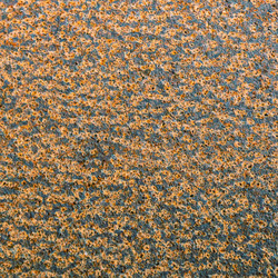 Similar image 21061044