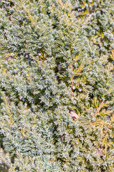 Similar image 21061047