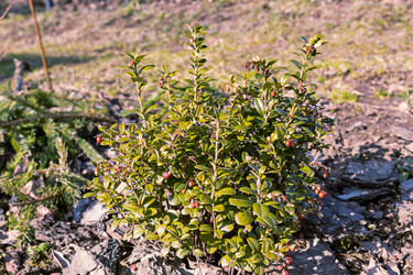 Similar image 21061048