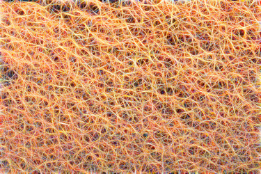 Similar image 21061053