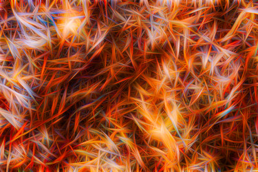 Similar image 21061057