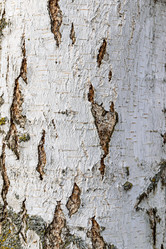 Similar image 21067564