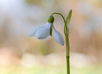 Similar image 21067580