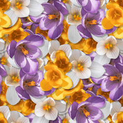 Similar image 21067582