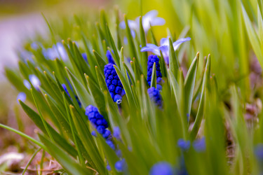 Similar image 21067584