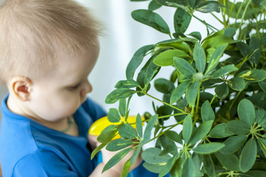 Similar image 21027147