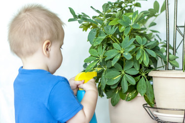 Similar image 21027148