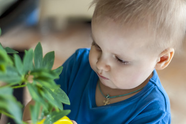 Similar image 21027149