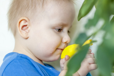 Similar image 21027151